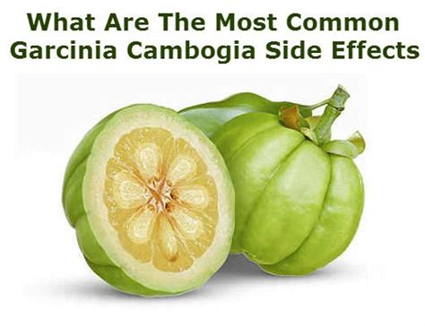 5+ Garcinia Cambogia Side Effects - Must Read before Buy Garcinia