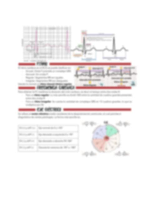 SOLUTION Electrocardiograma Electrocardiogram Studypool