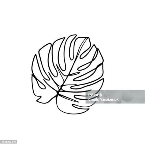 Continuous Line Monstera Leaf Tropical Leaves Contour Drawing Stock