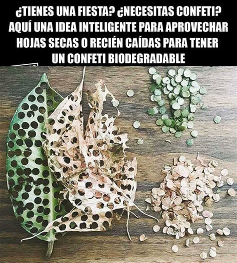 EcoInventos on Twitter Necesitas confeti Prueba esto Qué hacer