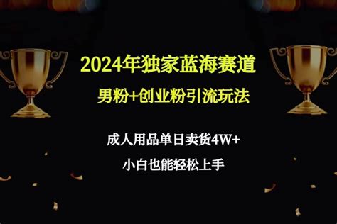 2024年独家蓝海赛道男粉创业粉引流玩法，成人用品单日卖货4w保姆教程 项目集市