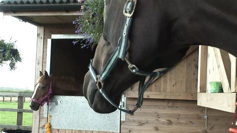 Massive Natural Tits Bouncing On The Trampoline Feat Kirsten Halborg By RoadTrips UK XHamster