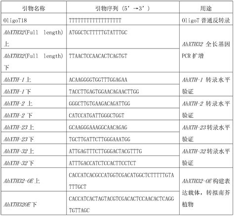 花生细胞壁的木葡聚糖内糖基转移酶 水解酶及其应用