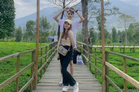 Kebun Teh Tambi Wonosobo Cek Lokasi Harga Tiket Dan Spot Foto Keren