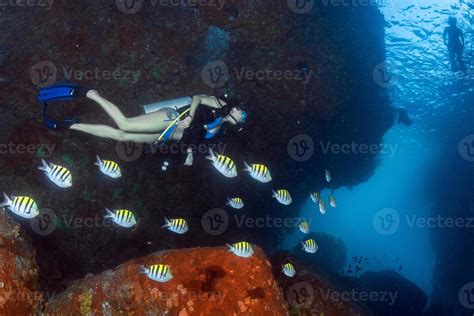 Beaytiful Latina Diver Inside A School Of Fish 20224458 Stock Photo At