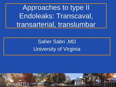 Pdf Approaches To Type Ii Endoleaks Transcaval To Type Ii