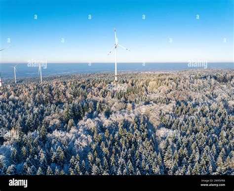 Wind Turbines Towering Above A Snow Covered Coniferous Forest Under A Blue Sky Aerial View