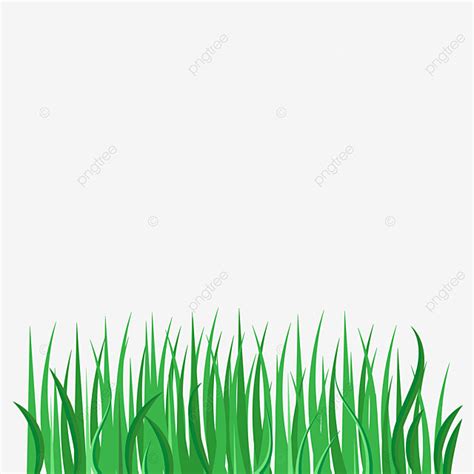 Realistic Grass Vector PNG Images Green Grass Border Realistic Png