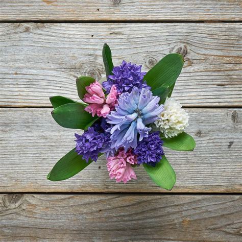 Pink and Purple Hyacinth Flower Bouquet - The Bouqs Co.