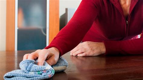 In Dito Estudio Trabajo Dom Stico De Las Mujeres Aporta El Por