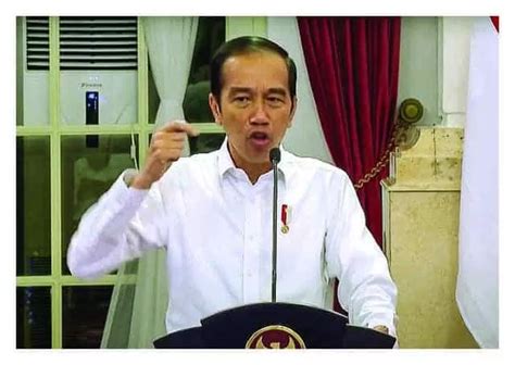 Jokowi Tegur Keras PLN Dan Pertamina Pontianak Post