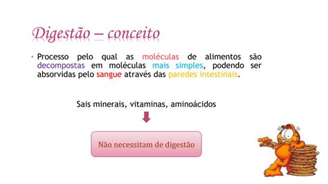 Solution Sistema Digestorio Dos Animais Dom Sticos Studypool