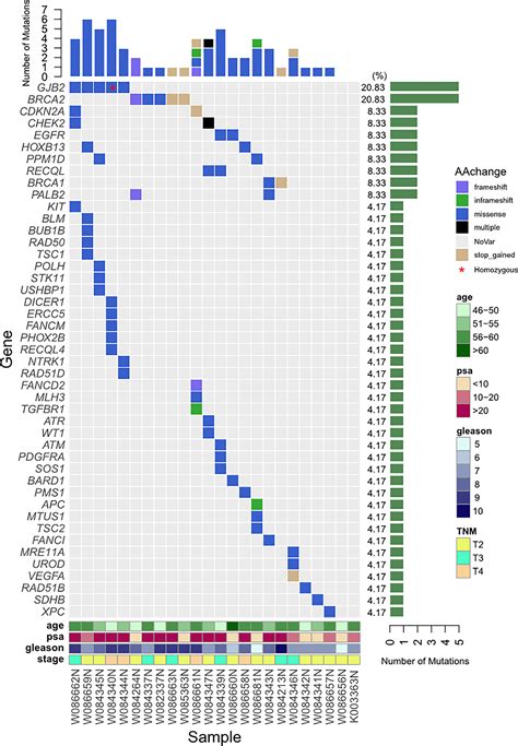 Frontiers Germline Mutations In Patients With Early Onset Prostate Cancer