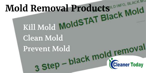 MoldSTAT Black Mold Removal Products | Cleaner Today