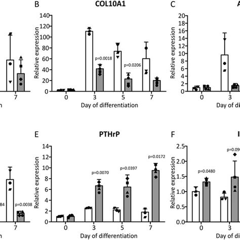 Spatiotemporal Expression Of Rmrp RNA And RNase MRP Subunits In The