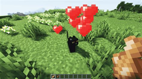 What Do Cats Eat In Minecraft