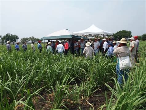 Municipio morelense innova programa de fertilización Biofábrica Siglo XXI