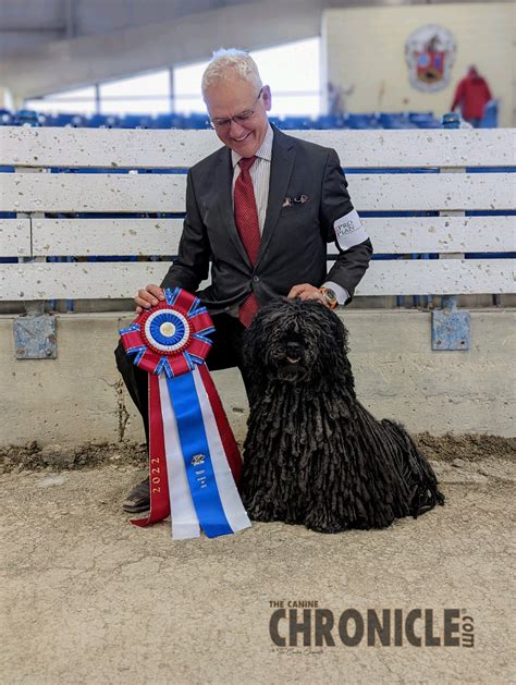 Nashville Kennel Club Sunday March Canine Chronicle