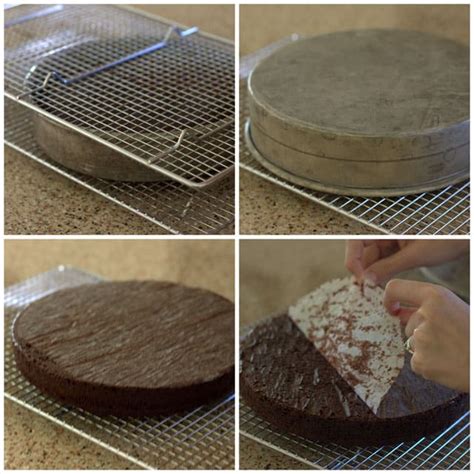 Baking Tips For Layer Cakes Barbara Bakes™