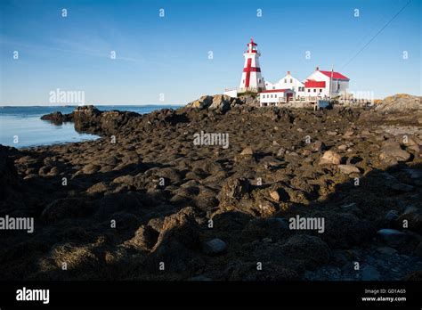 Head Harbor Lighthouse In Canada With Its Distinctive Cross At Low Tide