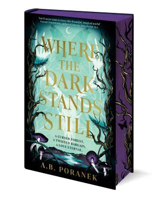 Where The Dark Stands Still By A B Poranek Waterstones