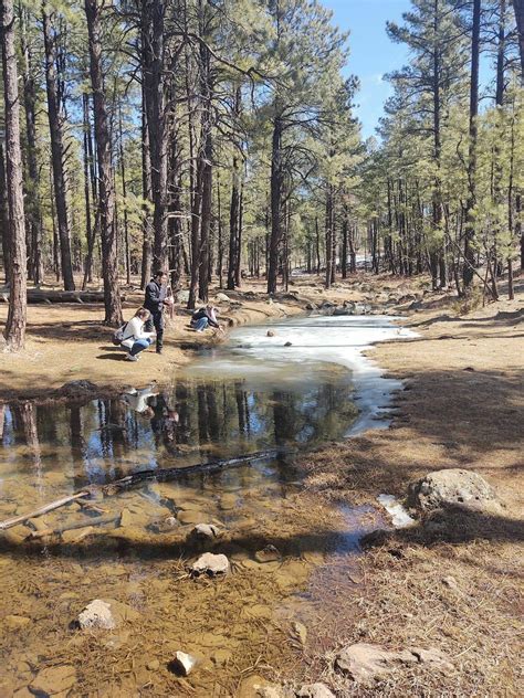 Springs Trail - Arizona | AllTrails