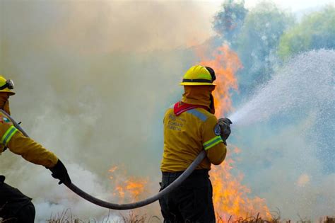 Cdmx Se Registró Mala Calidad De Aire Por 20 Incendios Forestales Infobae