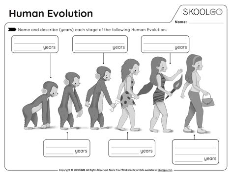 The History And Evolution Of Eboo