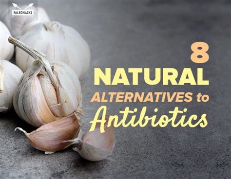 8 Natural Alternatives To Antibiotics