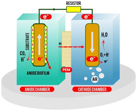 Energies Free Full Text Optimal Data Driven Modelling Of A Microbial Fuel Cell