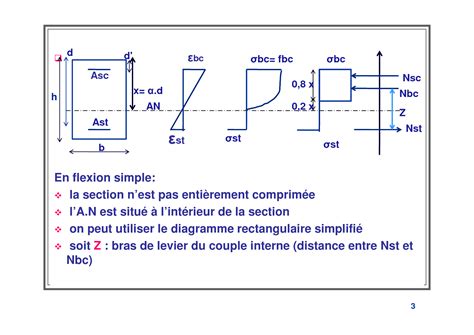 SOLUTION B Ton Arm 2 Cours Flexion Simple Studypool