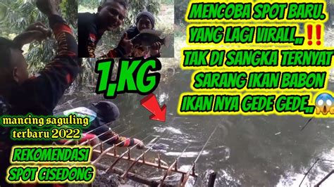 Rekomendasi Spot Yang Lagi VIRAL Ternyata Sarang Ikan Babonmancing