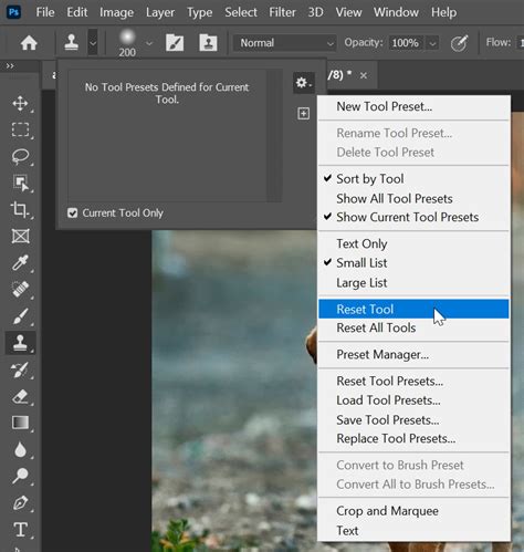 The Beginner's Guide to Clone Stamp Tool in Photoshop - PSD Vault