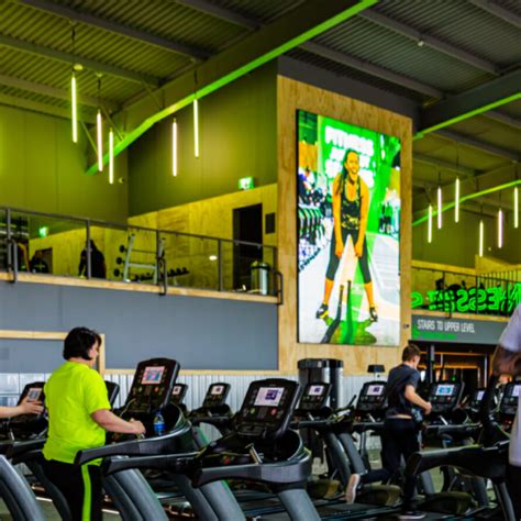 The Essential Guide To Gym Lighting Design - Prolight Design