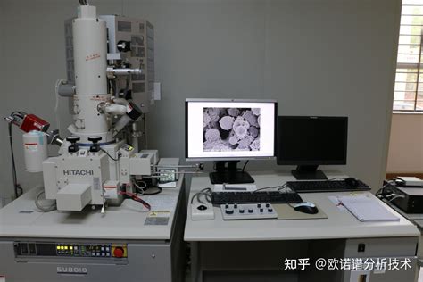 【材料科学】扫描电镜——观察样品的表面形貌和微观结构 知乎