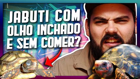 JABUTI olho INCHADO e não quer COMER Motivo que pode causar Doença