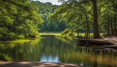 7 State Parks Near College Station TX: Discover the natural beauty of Texas