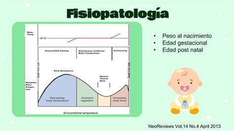 Termorregulacion En El Recien Nacido Pptx