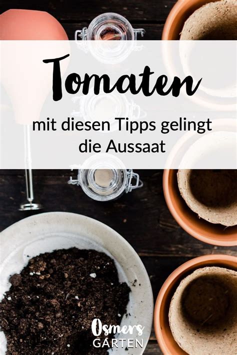 Tomaten Vermehren Pflegen Ernten Teil 2 Aussaat Osmers Garten