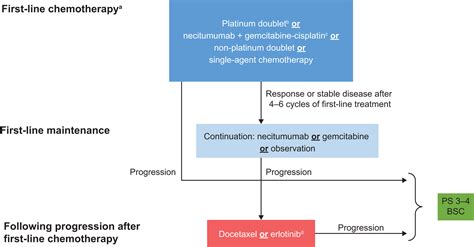 Current And Emergent Therapy Options For Advanced Squamous Cell Lung