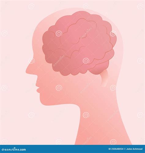 Human Side Profile Silhouette With Brain Stock Vector Illustration Of