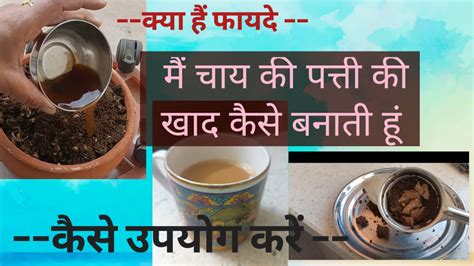 मैं चाय पत्ती की खाद कैसे बनाती हूं How I Make Tea Leaf Compost