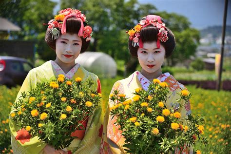 白鷹町 紅花まつり 山形舞子撮影会 Koubouのホームページ