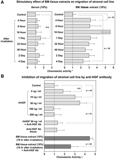 Migration Assay Of Stromal Cells A Stimulatory Effect Of BM Tissue