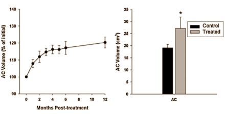 Animal study: a year of growth after just one anti-myostatin gene treatment