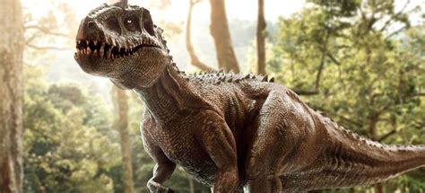 Cu Ntos Tiranosaurios Rex Vivieron En La Tierra