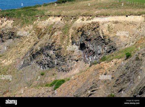 Folded Rock Formations Millook North Cornwall Coast Path Stock Photo