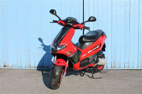 Gilera Runner Pure Jet Roller Neu Ab Werk Aus Erster Hand Kaufen