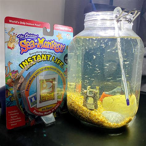 Sea Monkeys Instant Life Who Else Fantasised About Raising The