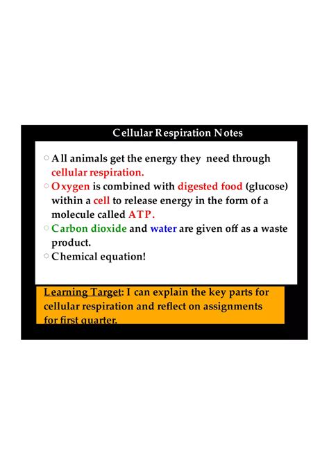 Cellular Respiration And Assignment Reflection Pdf